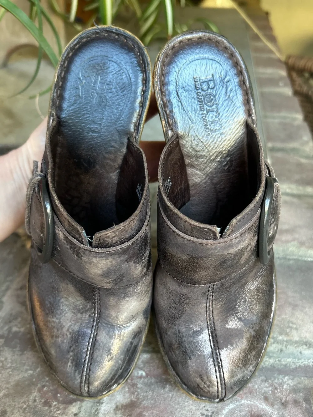 Born platform mule clogs